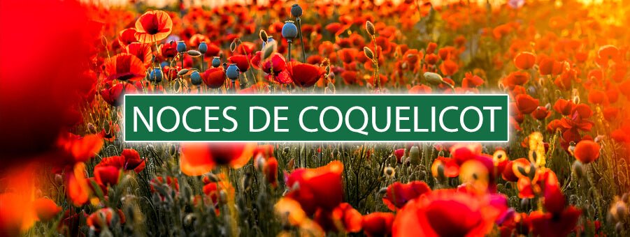 8 ans de mariage : Célébrez vos noces de coquelicot avec style - Bois Eden