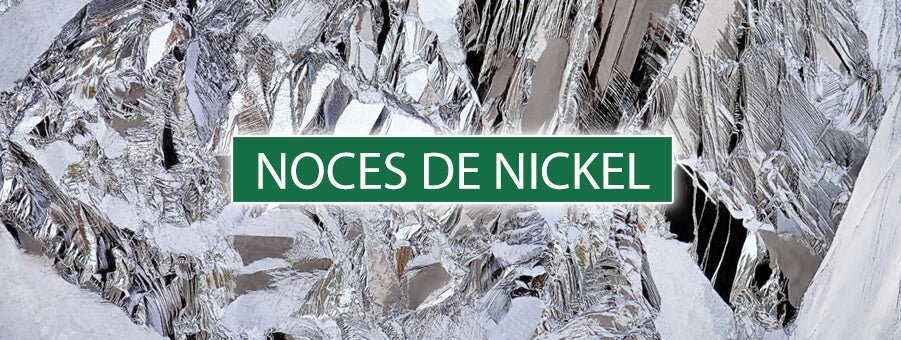 Célébrez vos 28 Ans de Mariage: Les Noces de Nickel - Bois Eden