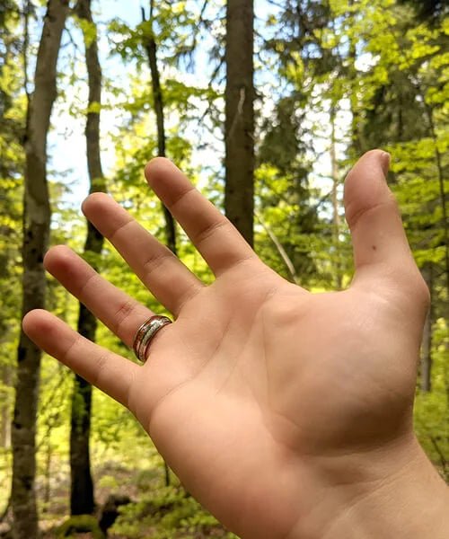 BAGUE EN BOIS Duo d'Eden argent - Bois Eden